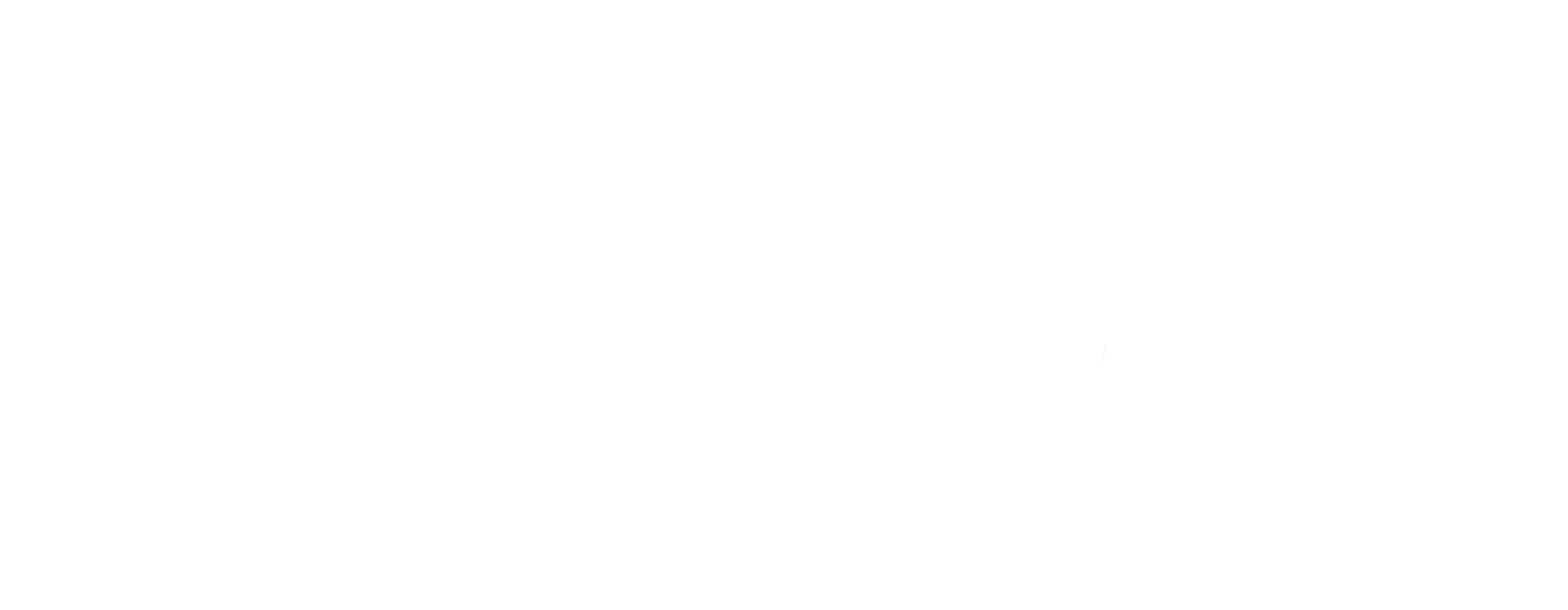 Handwritten logo for Hanne Bruijnes